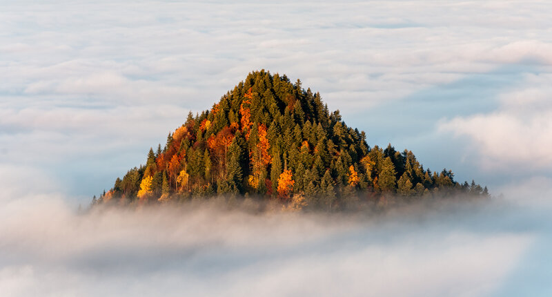 Forest-covered Mountain — Green, Serene, Autumn