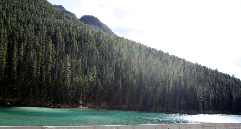 Forest-covered Mountain — Green, Serene