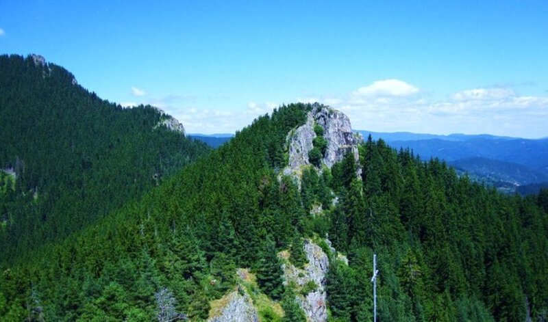 Forest-covered Mountain Peak — Green