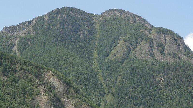 forest-covered mountain peak