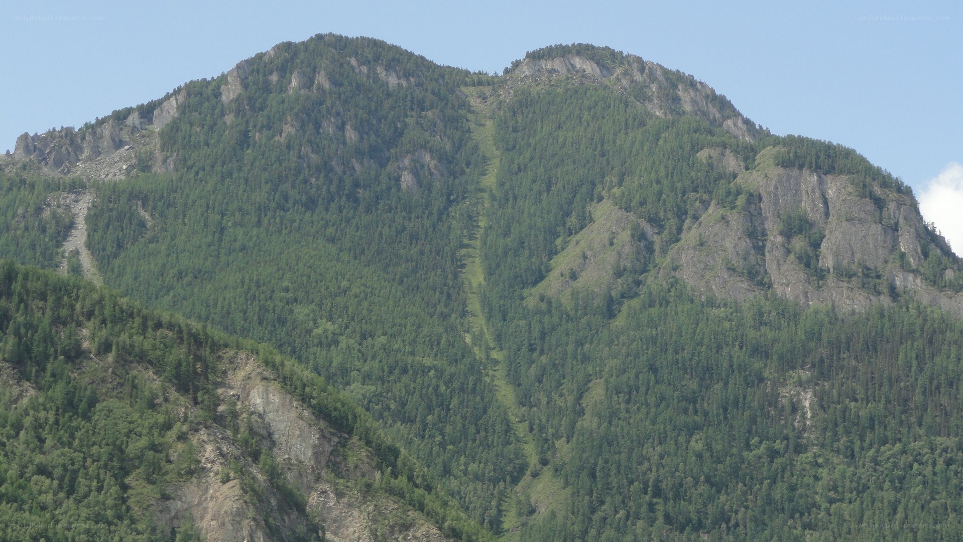forest-covered mountain peak