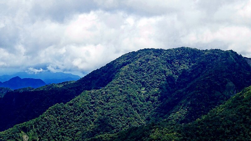 Forest-covered mountain range