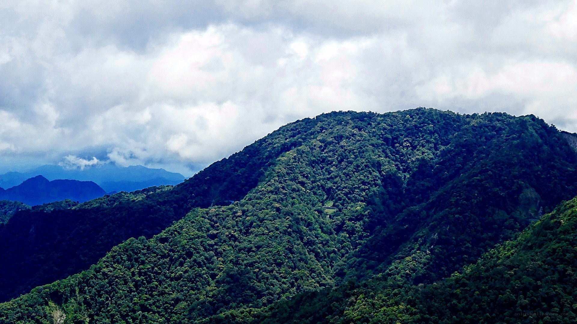 Forest-covered mountain range