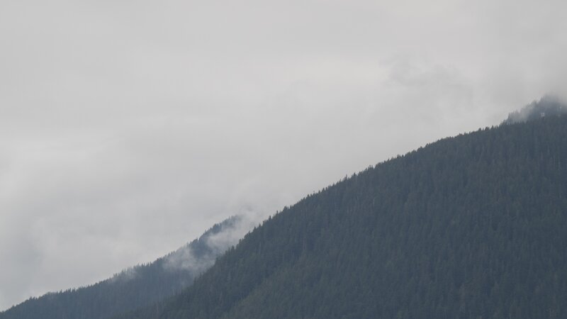 Forest-covered Mountain Slope — Green, Overcast
