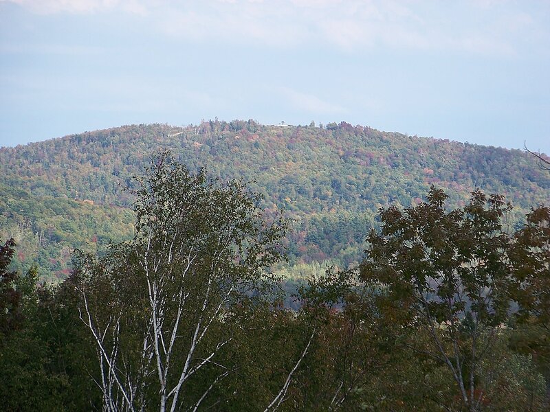 Forest-covered Mountain