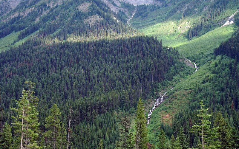 Forest-covered Mountain Valley — Green