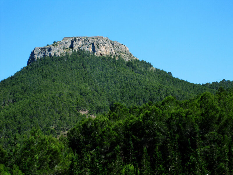 Forest-covered mountain with rocky peak