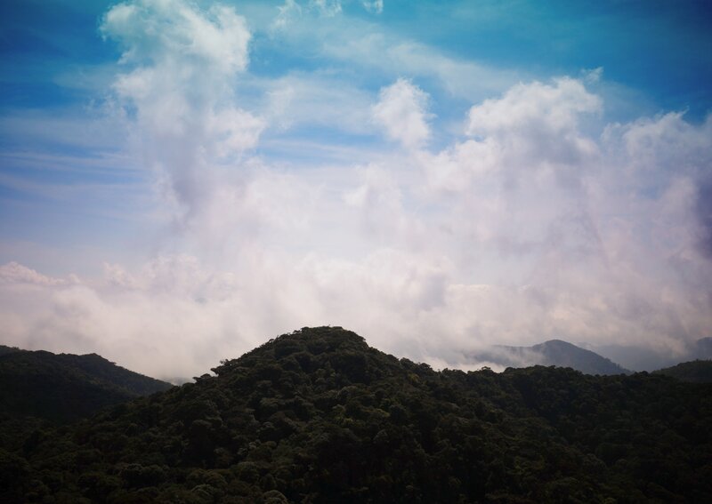Forest-covered Mountains — Blue