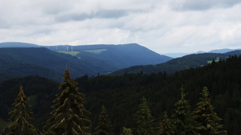 Forest-covered Mountains — Green, Overcast