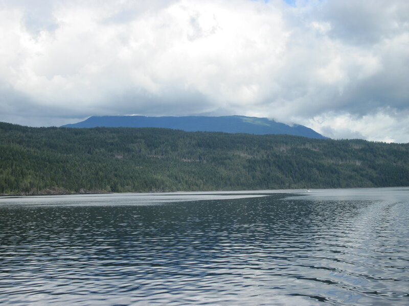 Forest-covered Mountains — Green, Serene, Afternoon, Photograph