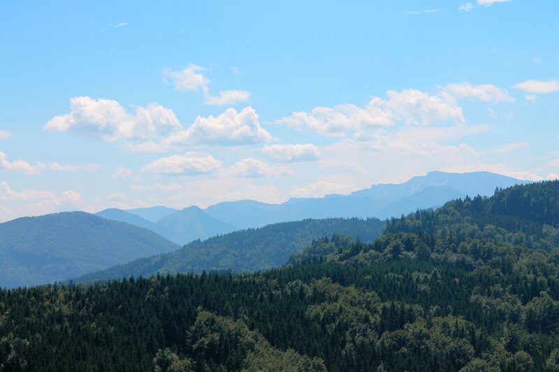 Forest-covered Mountains — Green, Serene, Afternoon, Photograph, Trees