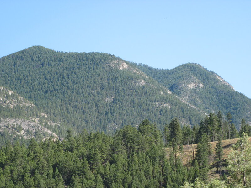 Forest-covered Mountains — Green, Serene, Afternoon