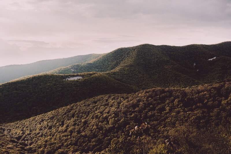 Forest-covered Mountains — Green, Serene, Morning, Photograph, Hills
