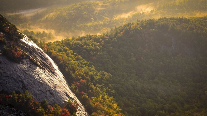 Forest-covered Mountains — Green, Serene, Morning, Photograph, Trees, Fog