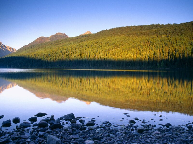 Forest-covered Mountains — Green, Serene, Morning