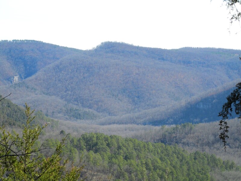 Forest-covered Mountains — Green, Serene, Spring