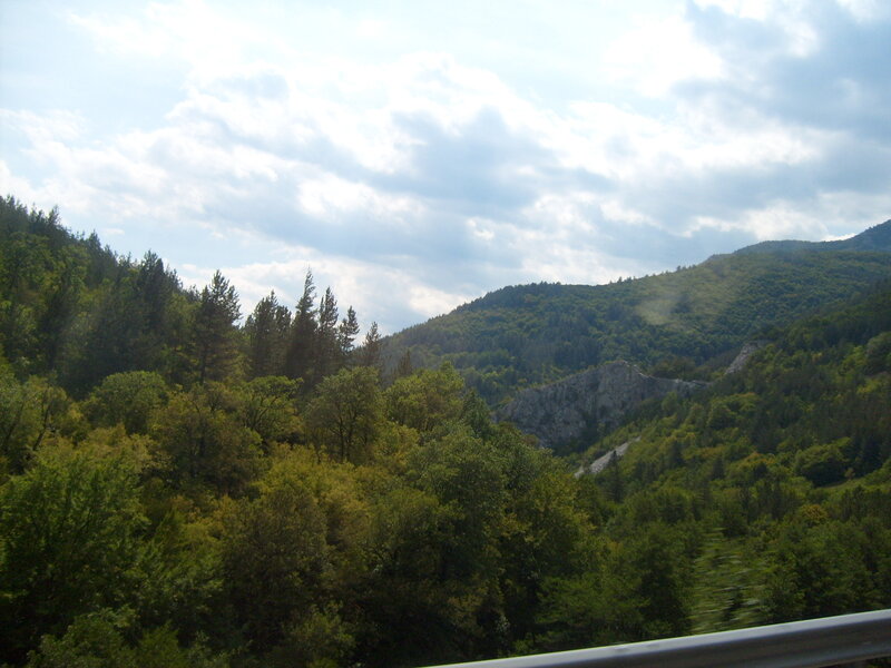 Forest-covered Mountains — Green