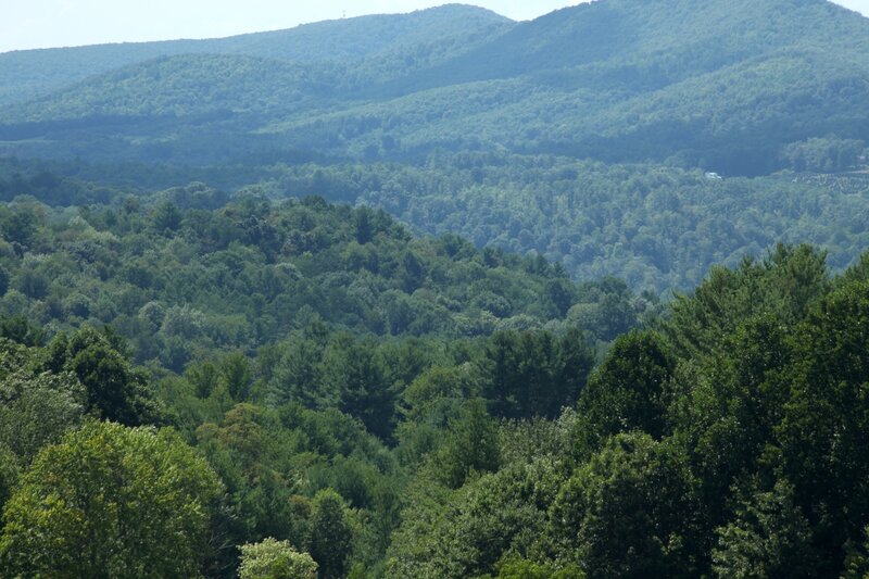 forest-covered mountains landscape
