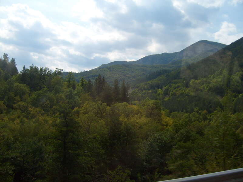 Forest-covered Mountains