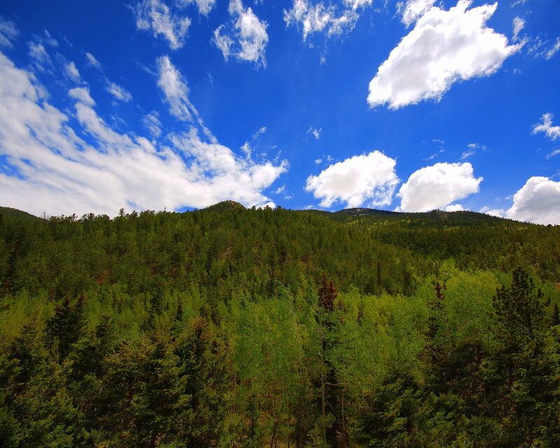 Forest-covered mountains under blue sky
