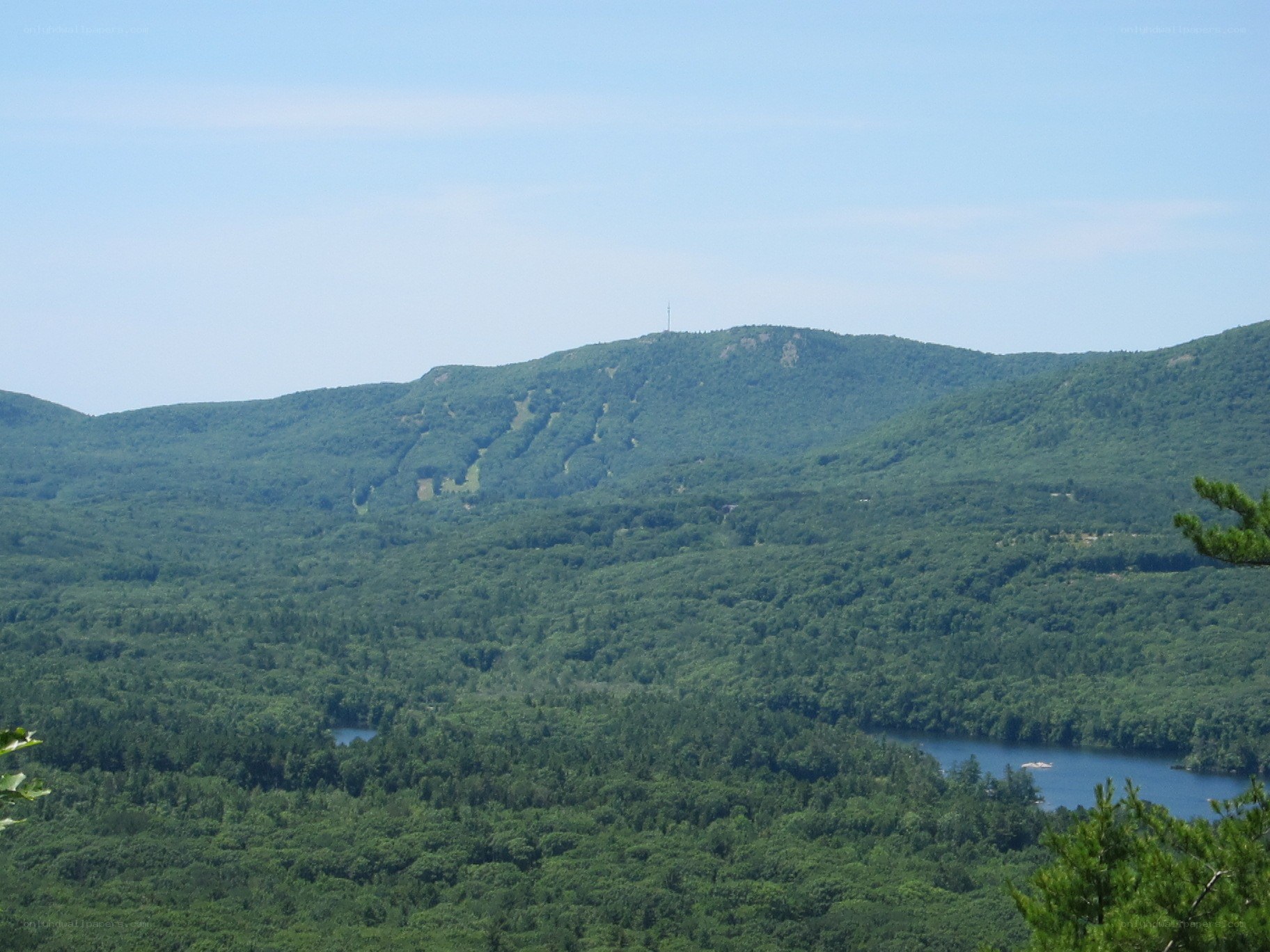 forest-covered mountains with lake