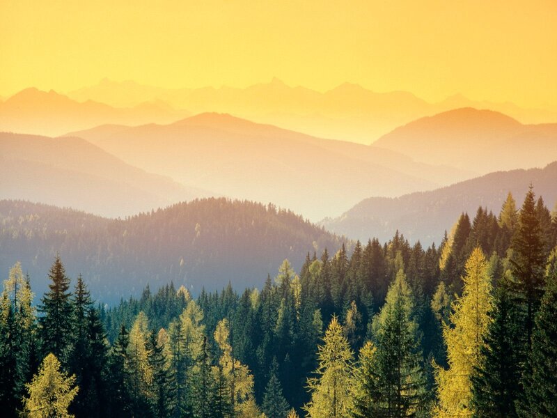 Forest-covered Mountains — Yellow