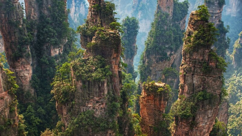 Forest-covered Pillars — Green, Serene, Morning, Photograph