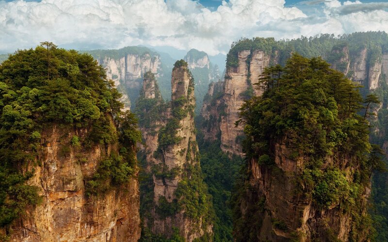 Forest-covered Pillars — Green