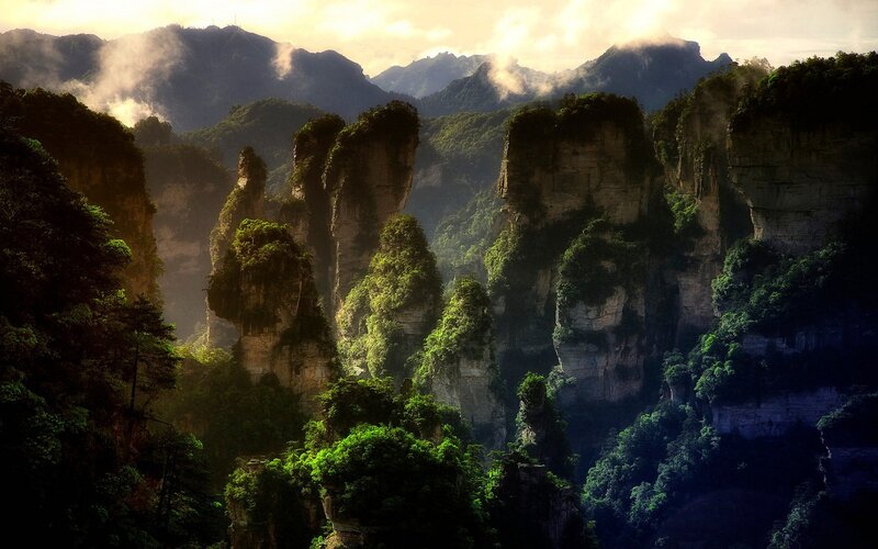 Forest-covered Pillars