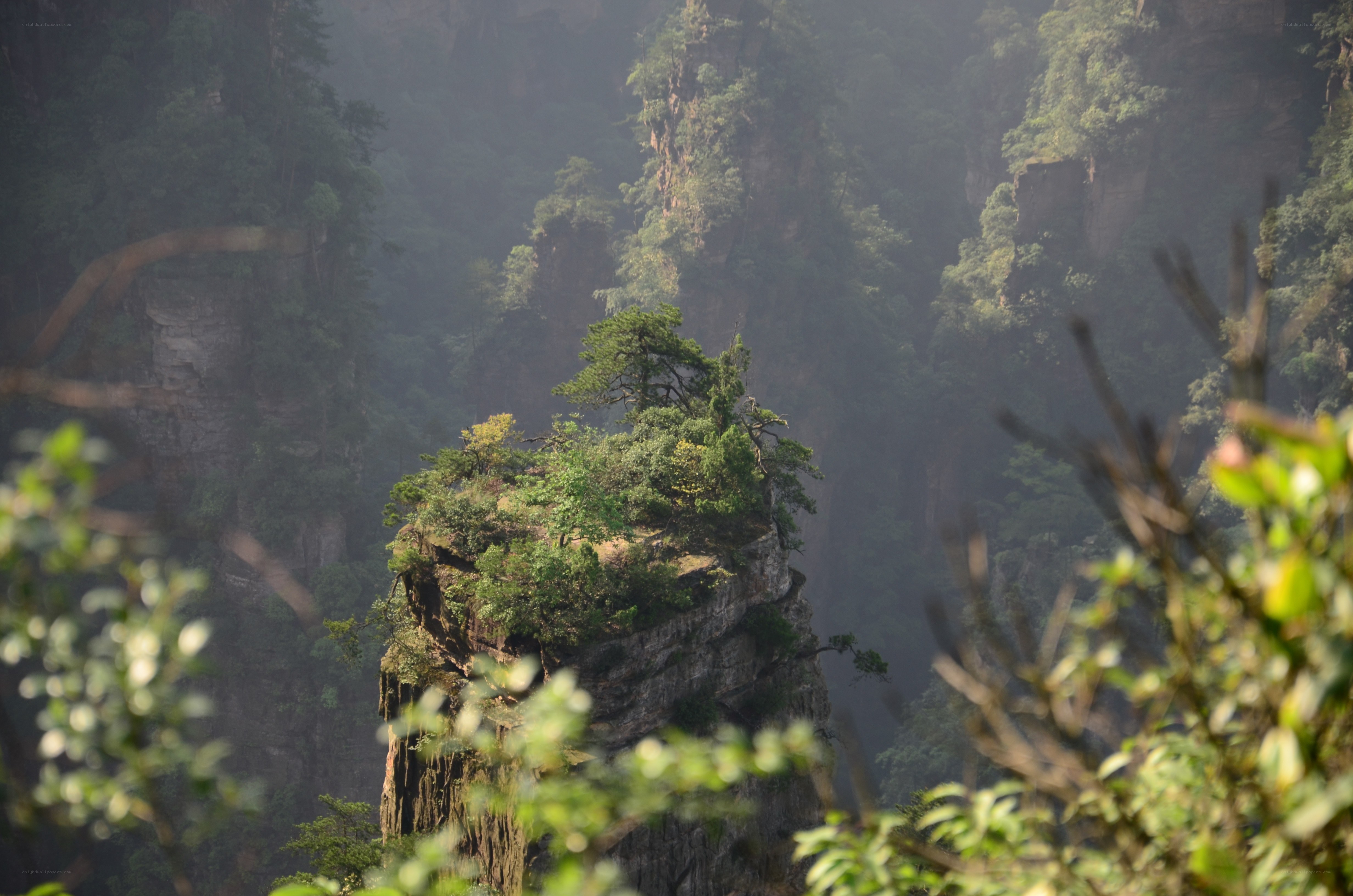 Forest-covered rock formation