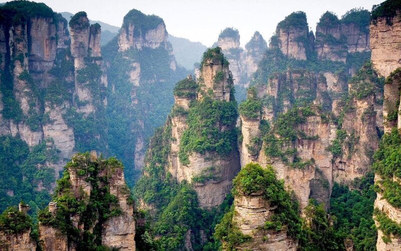 Forest-covered Rock Pillars