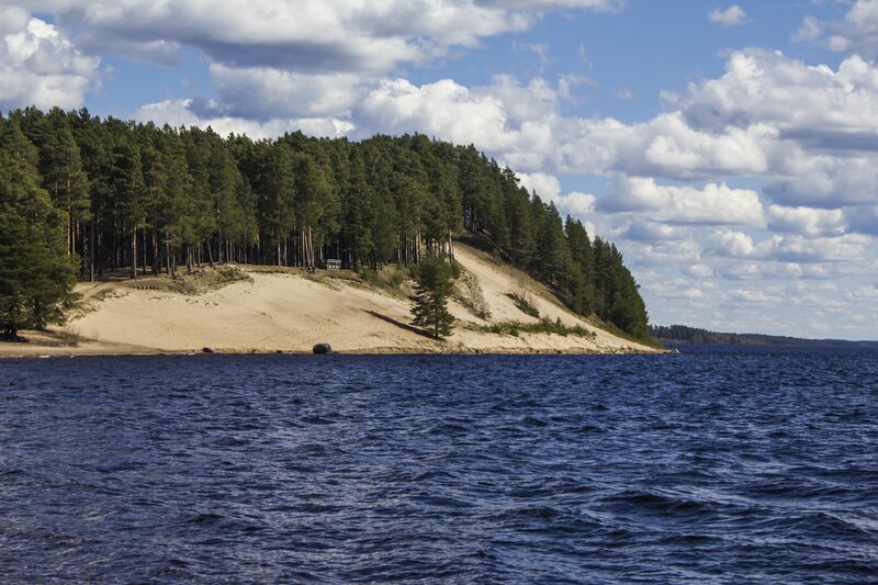 Forest-covered sand dune by lake