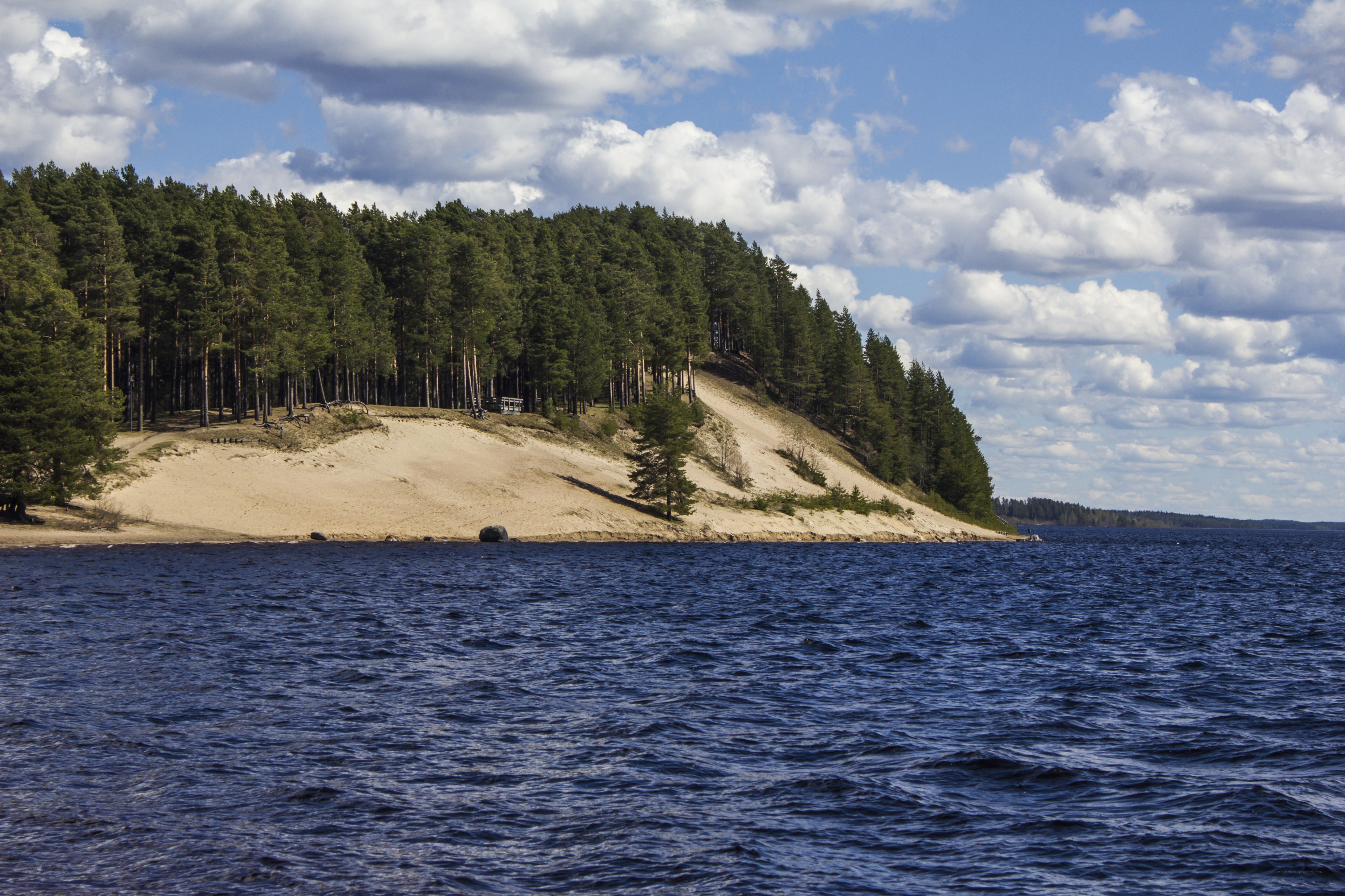 Forest-covered sand dune by lake