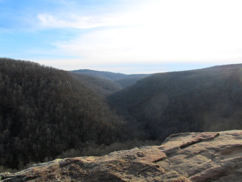 Forest-covered Valley — Brown