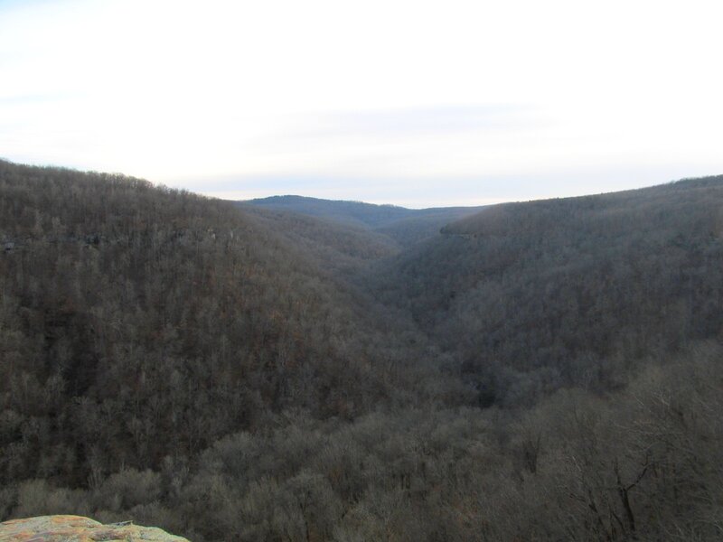 Forest-covered Valley
