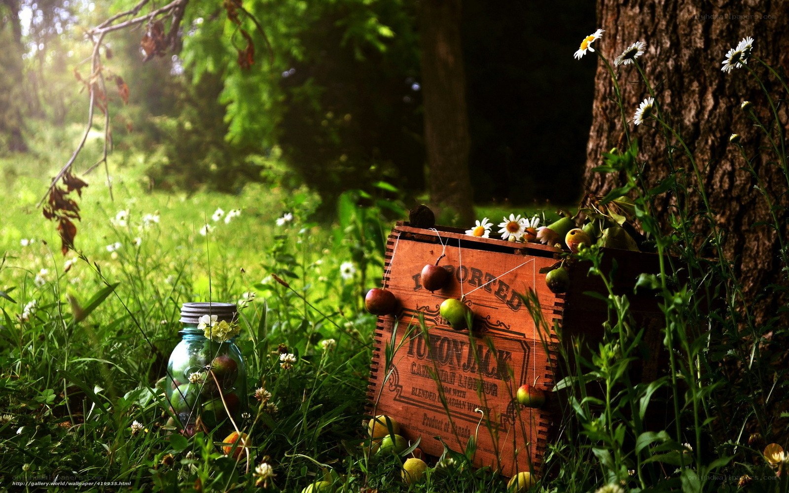 Forest crate with apples and jar