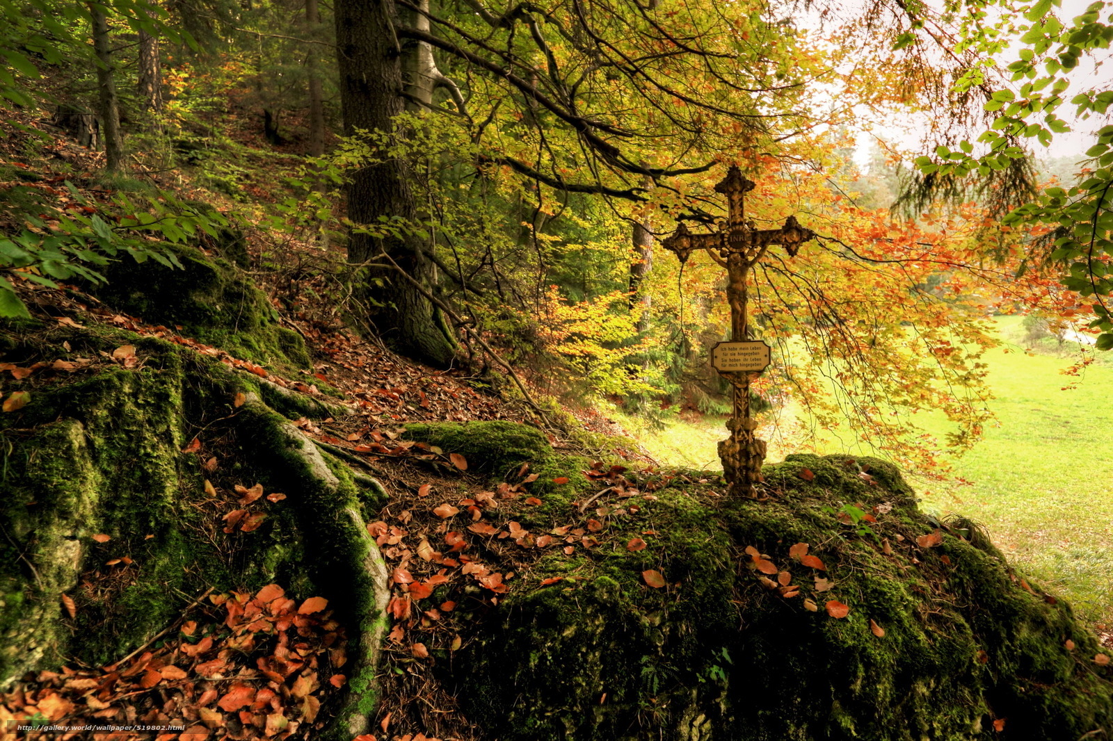 Forest cross in autumn