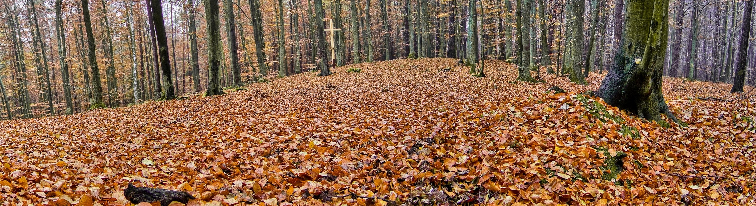 Forest cross on a leaf-covered hill