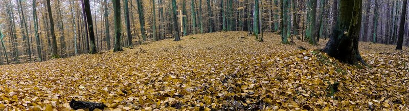Forest cross on autumn hill