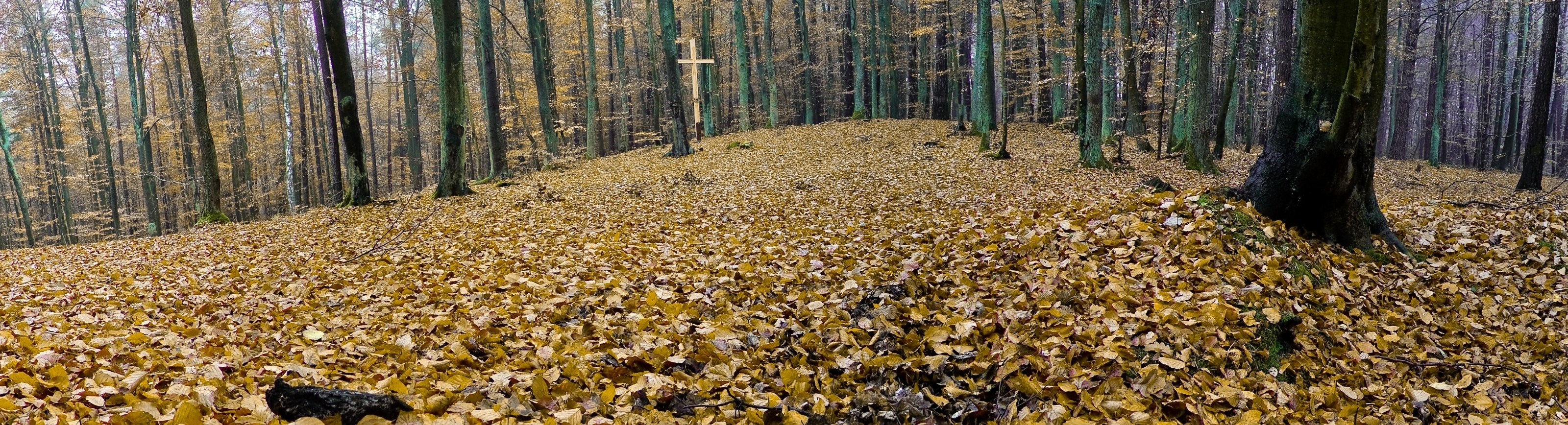 Forest cross on autumn hill