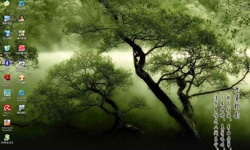 Forest desktop background