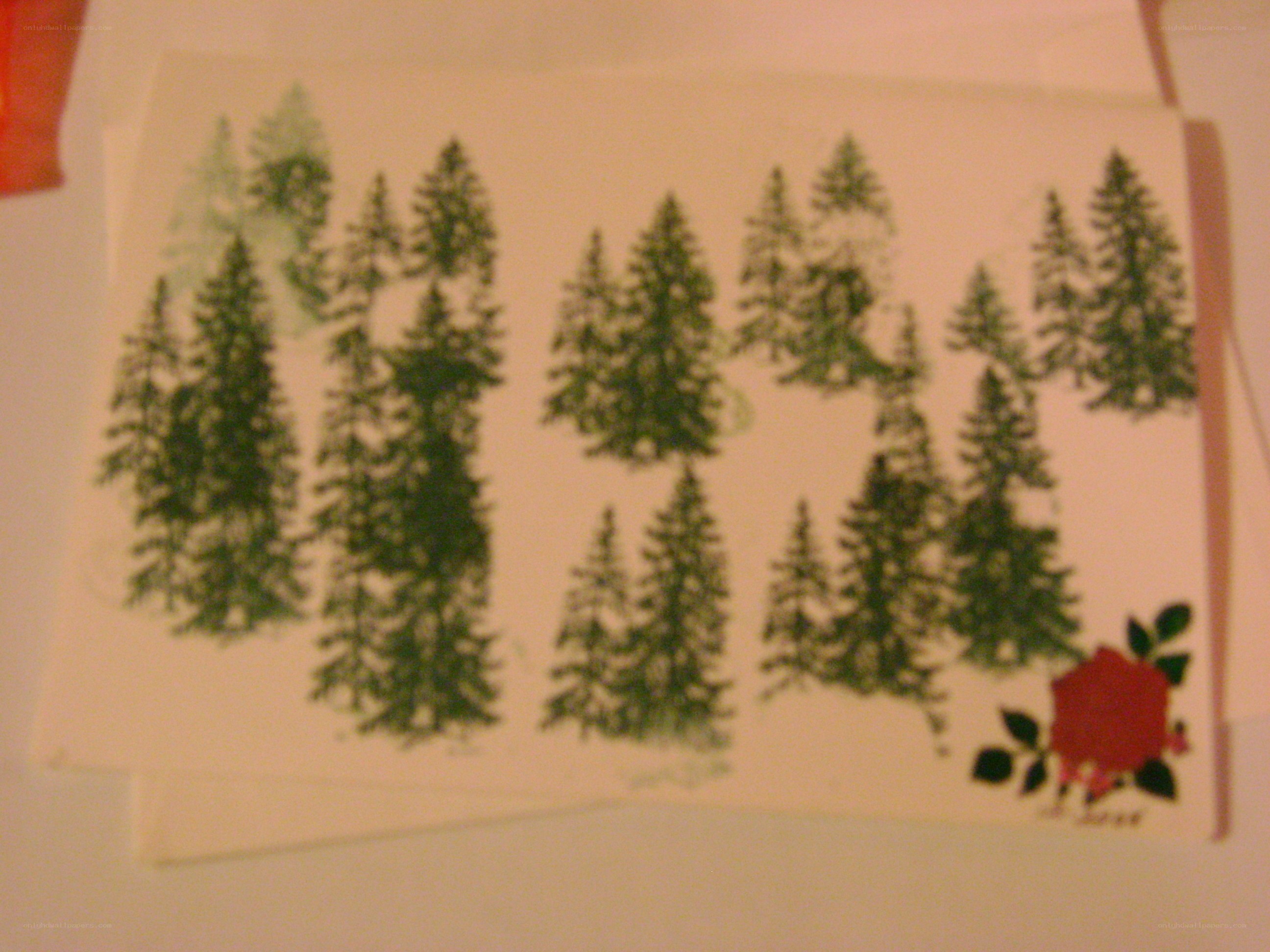 forest drawing with rose