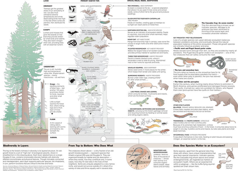 Forest Ecosystem Layers