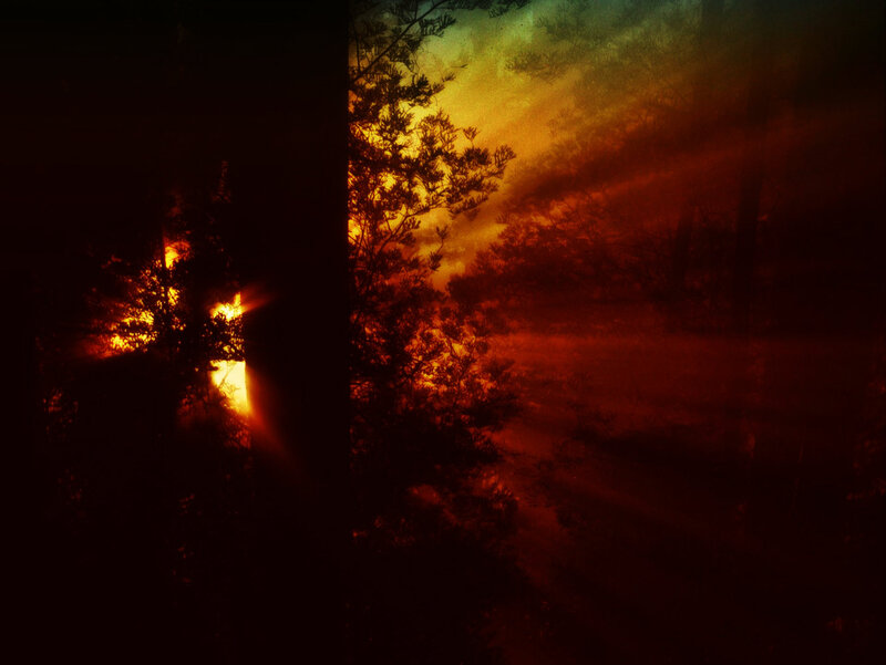 Forest Fire at Dusk — Orange