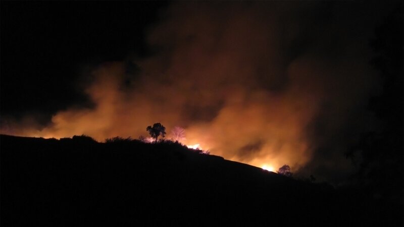 Forest fire at night
