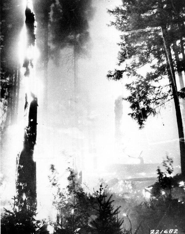 Forest Fire at Night — Black, Dramatic