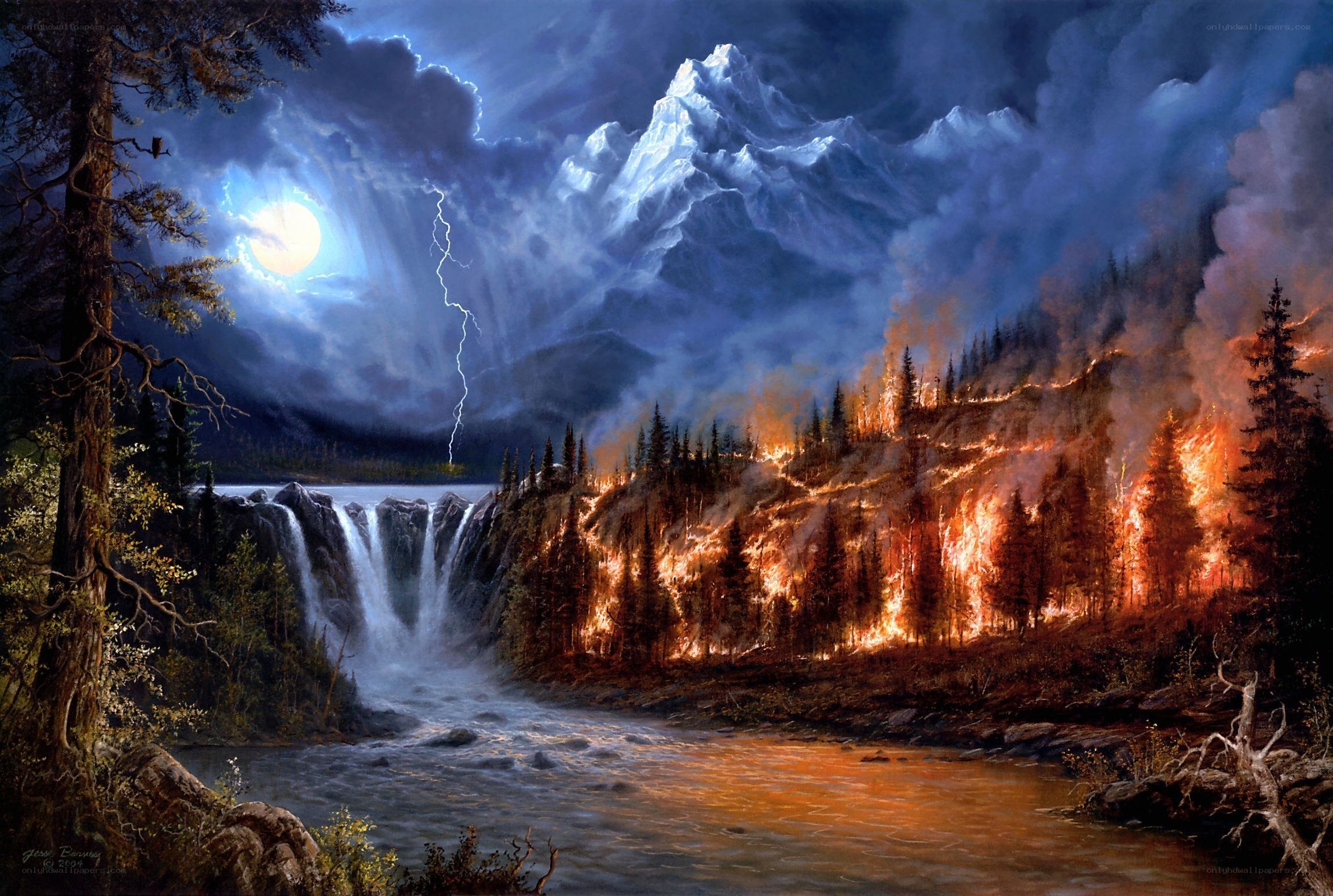 Forest Fire at Night by Waterfall