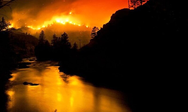Forest Fire at Night — Orange, Dramatic, Photograph