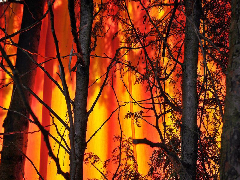 Forest Fire at Night — Orange, Dramatic, Photograph, Trees, Branches