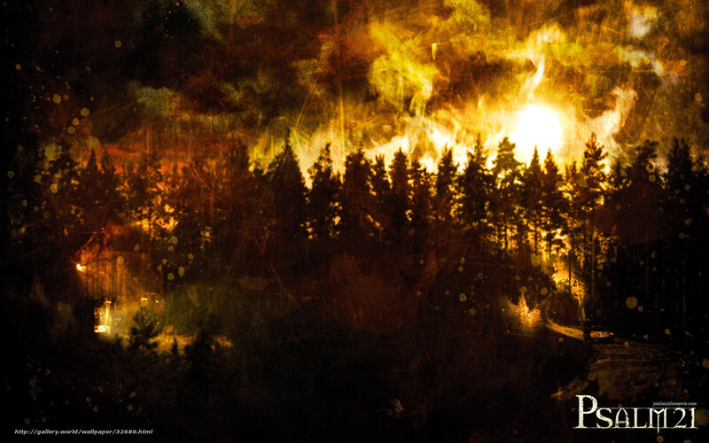 Forest fire at night